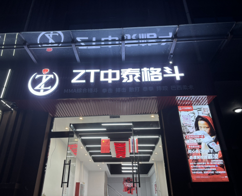 ZT中泰格斗