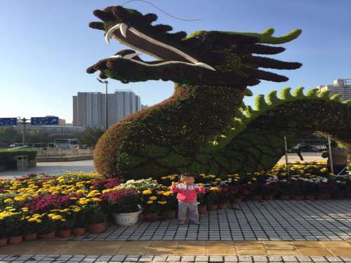 郊野公园旅行图片 1