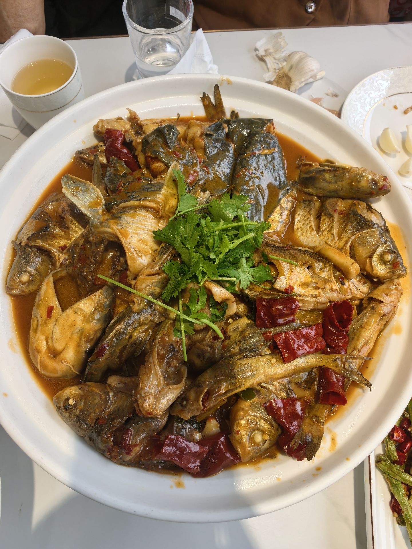 老屈头生鱼馆(恒源佳居B座店)