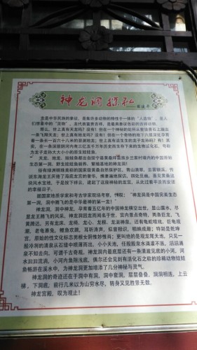 神龙洞旅行图片 1