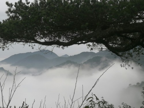 杨东山十二渡水生态旅游区旅行图片 3