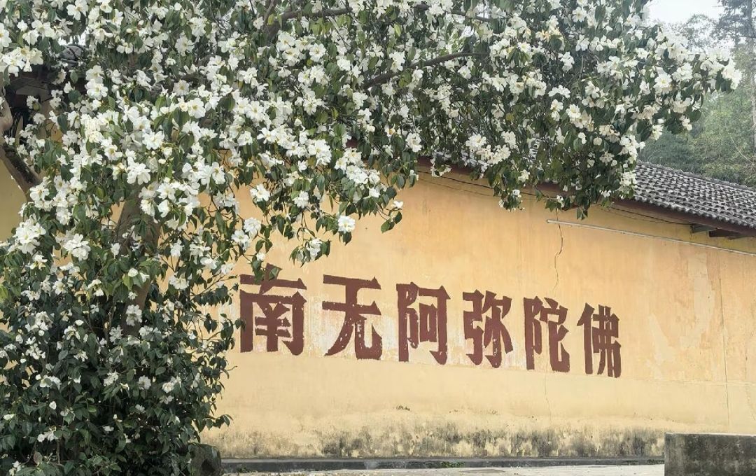 宜都大宋山法泉寺实景照片