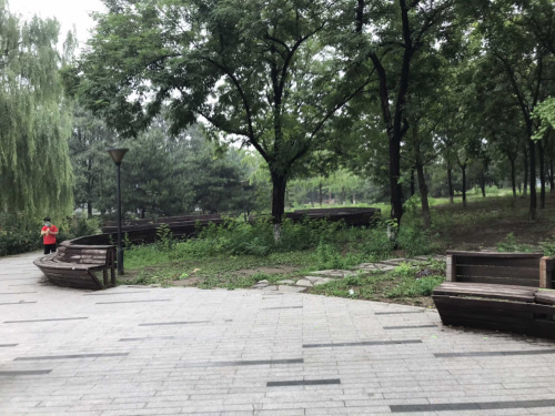 科丰公园旅行图片 1