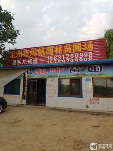定州市烁帆园林苗圃场
