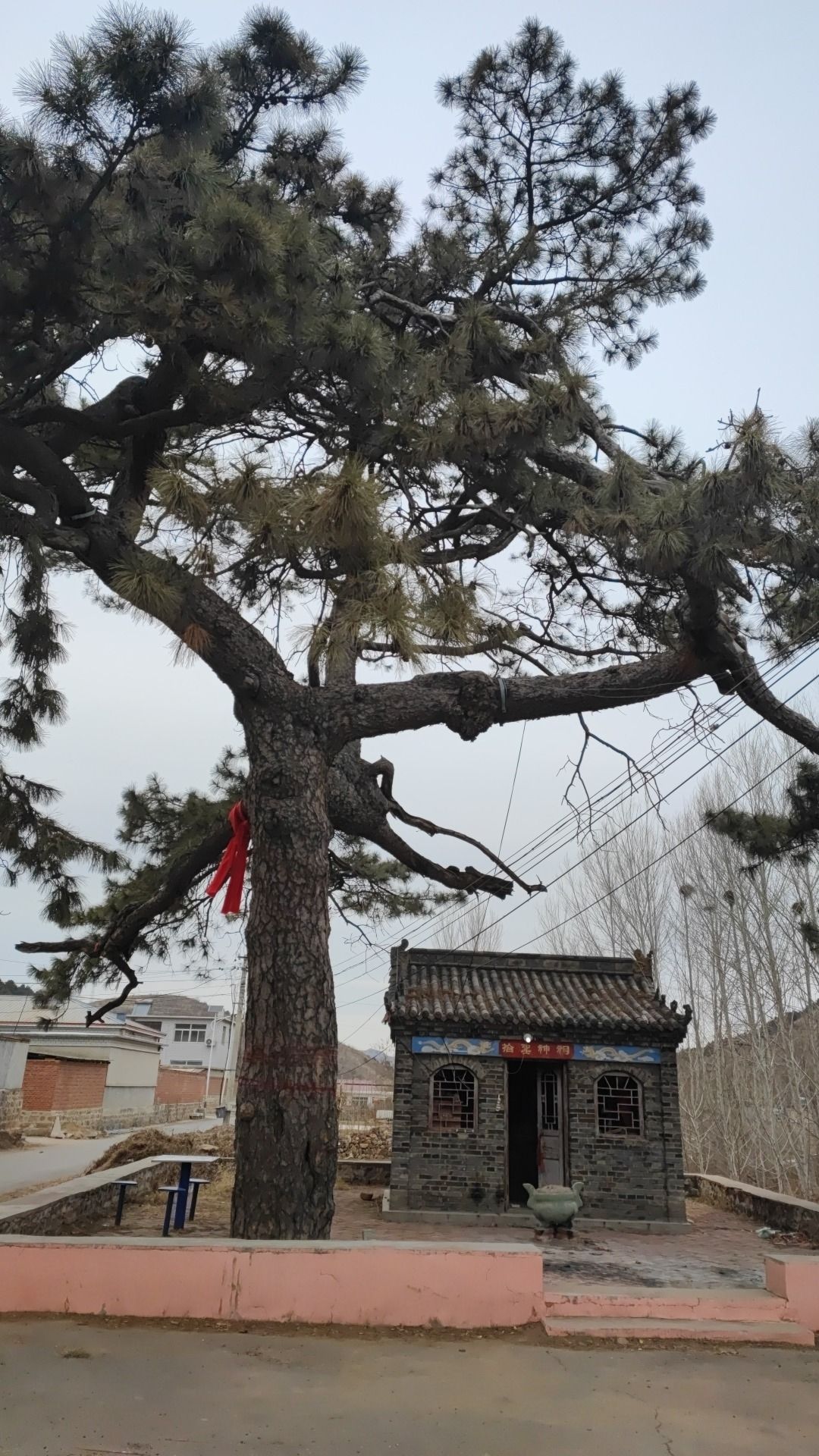拾圣神祠实景照片
