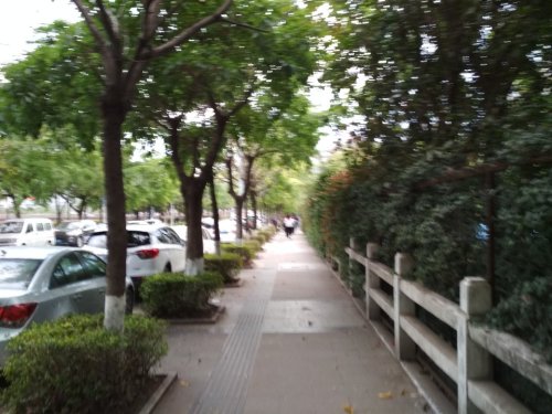 龙眼公园旅行图片 3