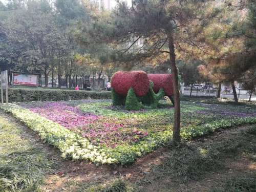 数码公园旅行图片 2