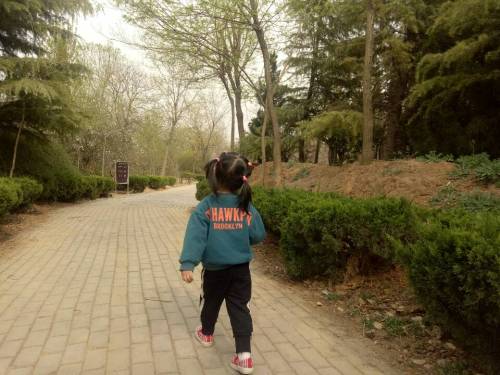 中国安阳蜡梅园旅行图片 1