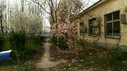 支亭寺旅行图片 3