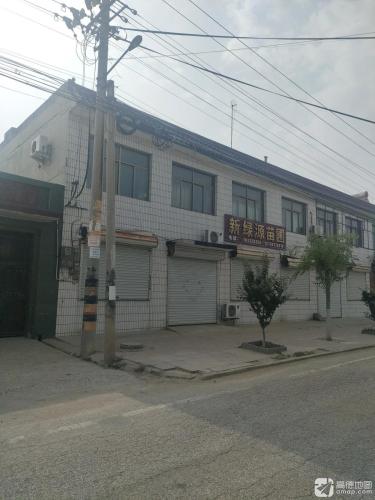 新绿源苗圃