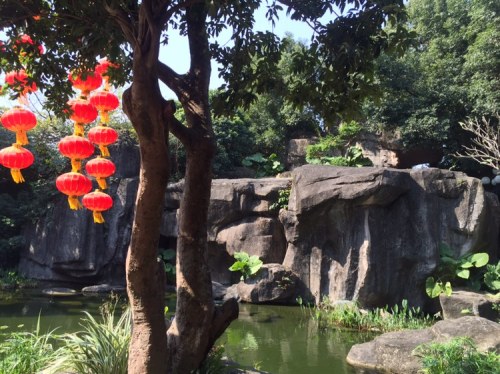 泥岗公园旅行图片 1
