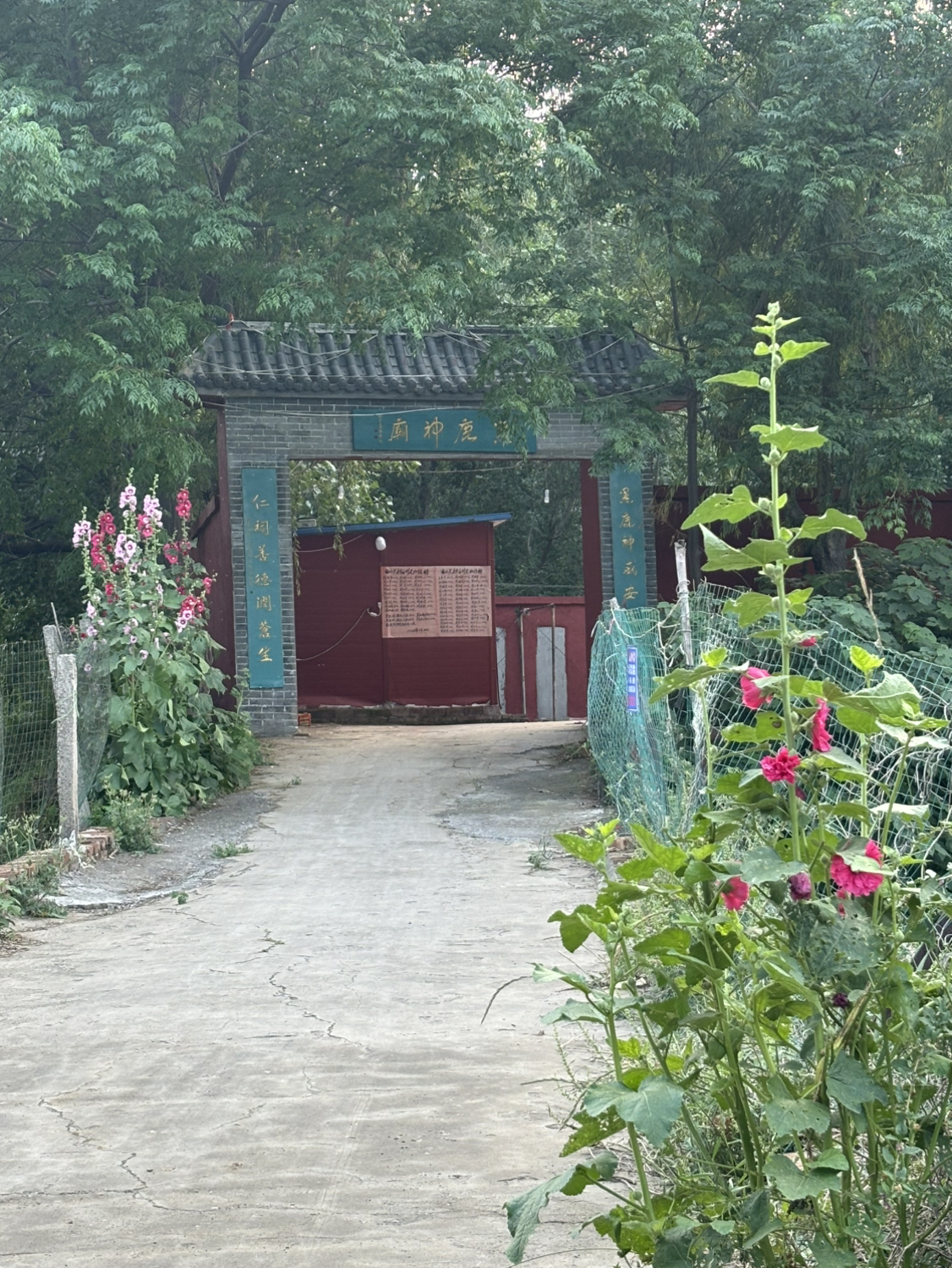 黑鹿神庙实景照片