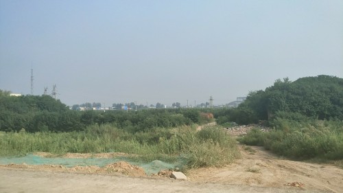 张仪苏秦墓旅行图片 2