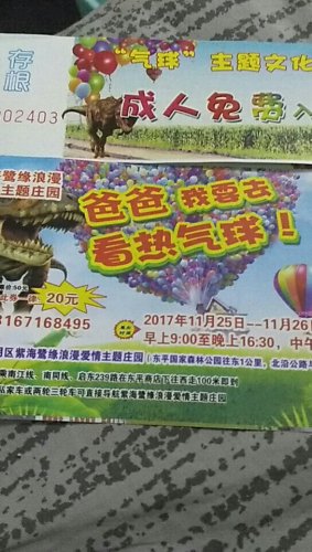 上海紫海鹭缘旅行图片 3
