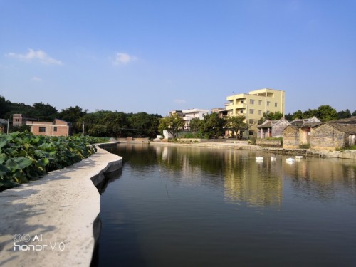 郁南县大湾古民居建筑群旅行图片 3