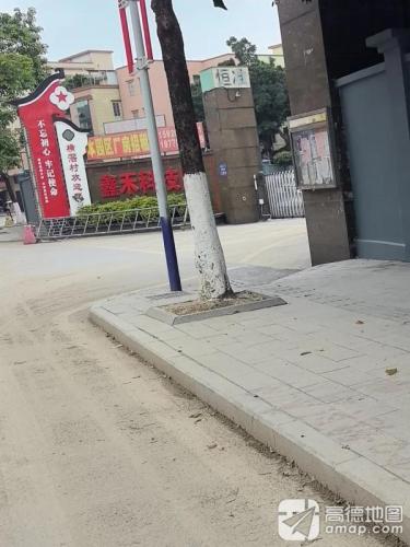 鑫禾科技园实景图（3）