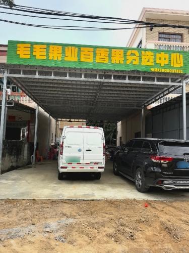 毛毛果业百香果分选中心