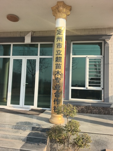 定州市立超苗木花卉农民专业合作社