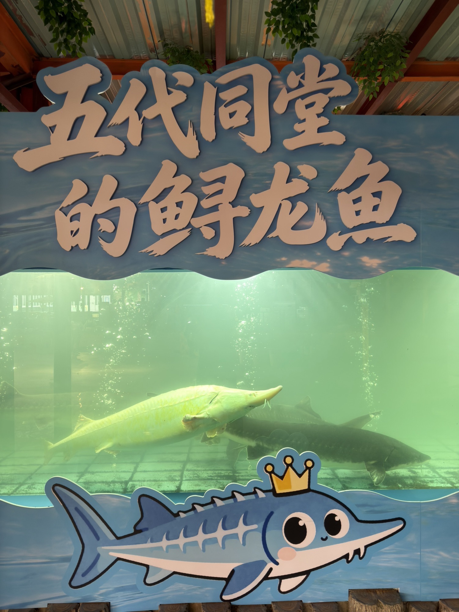 年辉渔村·非遗传承餐厅(新丰江店)