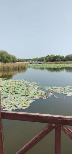 禾和湿地公园旅行图片 3