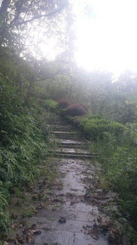 真君山公园旅行图片 2