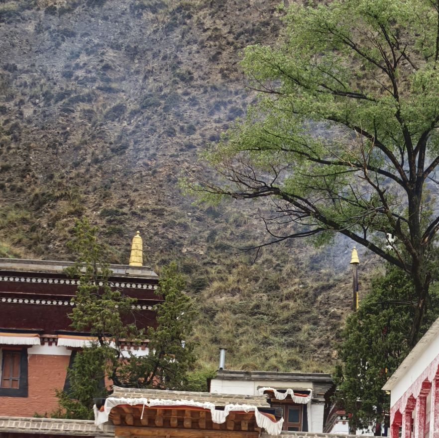 拉卜楞寺-宗喀巴佛殿实景照片