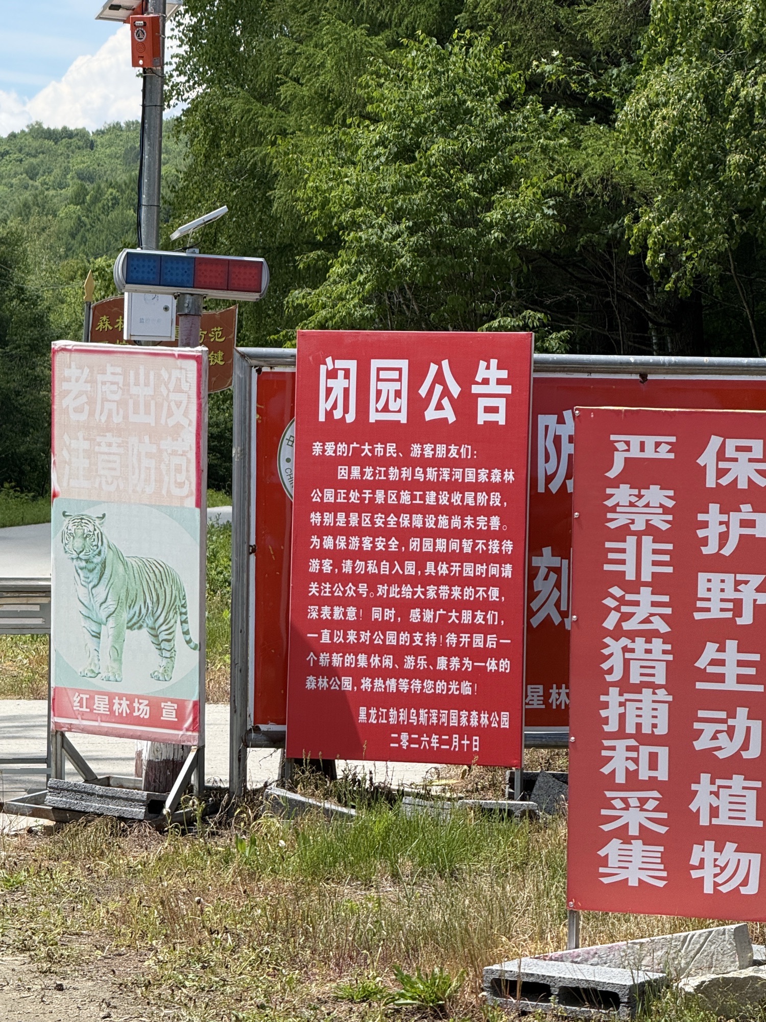 黑龙江勃利乌斯浑河国家森林公园