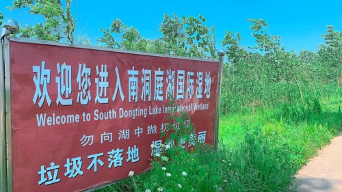 凌云塔旅行图片 3