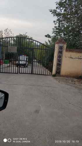 郑州市宠物公园旅行图片 2
