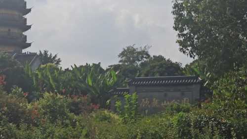 顾龙山公园旅行图片 3