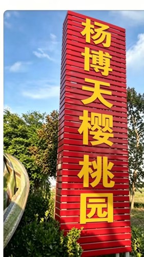 杨博天樱桃园