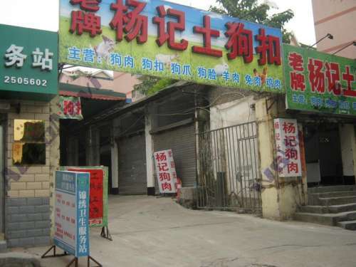 杨记狗肉(锦绣新街市店)