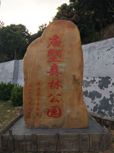 庙塱森林公园旅行图片