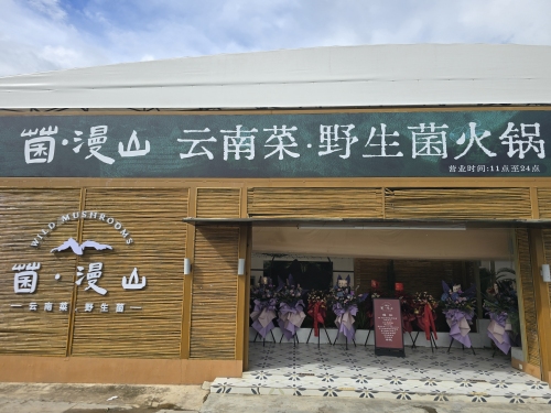 菌 漫山云南菜野生菌火锅