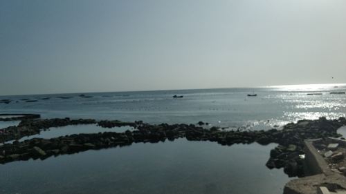 潮湾秦代造船遗址旅行图片 3