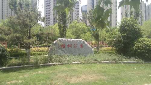 梧桐公园旅行图片 1