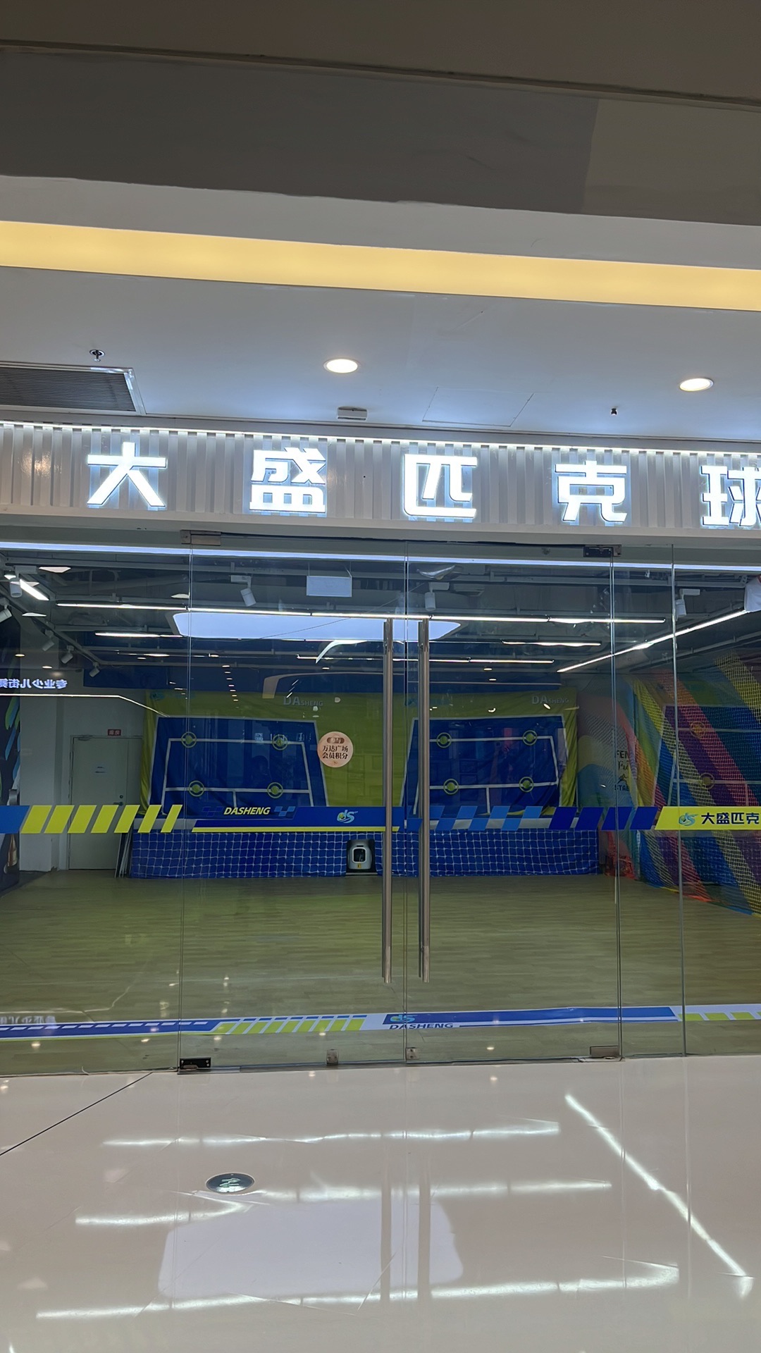 大盛匹克球