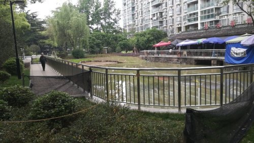 三香公园旅行图片 1