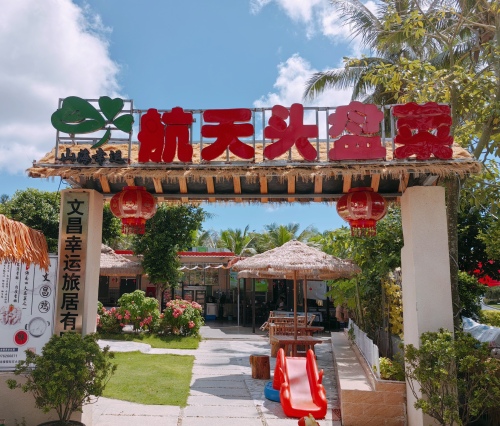 航天头盘菜