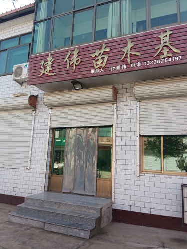 建伟苗木基地