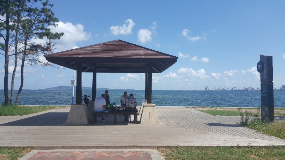 九龙湾公园景点图片