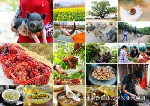 麒麟山生态园旅行图片 3