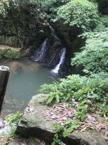 九龙潭景区旅行图片 1