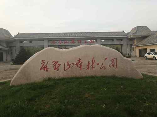 麻衣山森林公园旅行图片 1