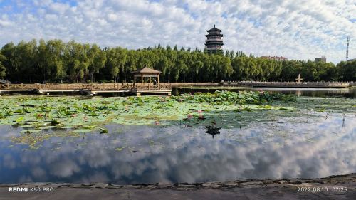 喜鹊公园-岔林湖公园