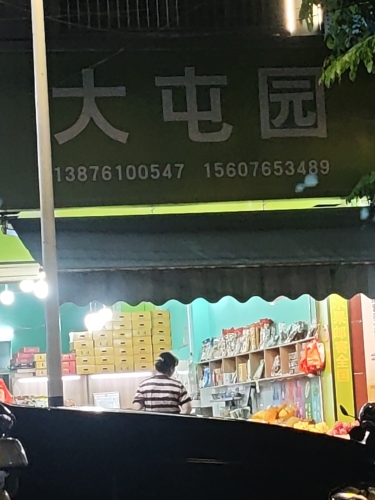 大屯园(大华路店)