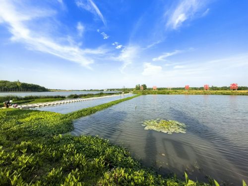 三湖一坝生态湿地公园