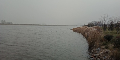 桑沟湾湿地公园旅行图片 1