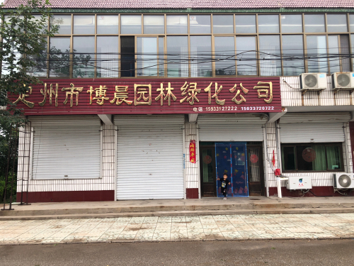 定州市博晨园林绿化公司