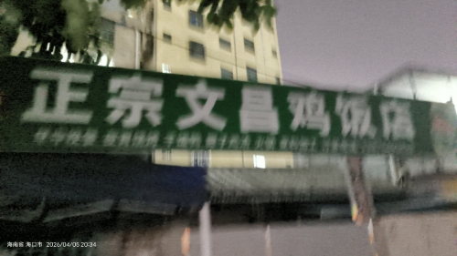正宗文昌鸡饭店